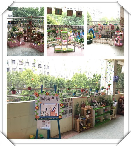 春暖花開，綠樹成蔭——遠(yuǎn)恒佳公明第二幼兒園自然觀察角大比拼