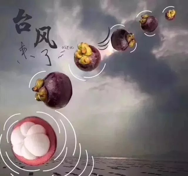 臺(tái)風(fēng)無情人有情，應(yīng)對臺(tái)風(fēng)“山竹”，我們團(tuán)結(jié)一心。