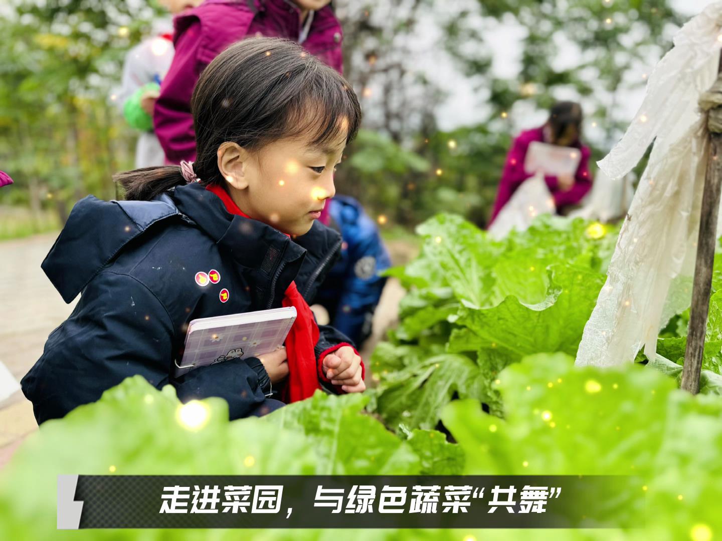 美好學(xué)校|留校時光，走出教室，與綠色蔬菜共舞